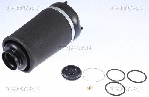 Air Spring, suspension (8720 23101)