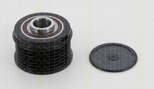 Alternator Freewheel Clutch (8641 154010)