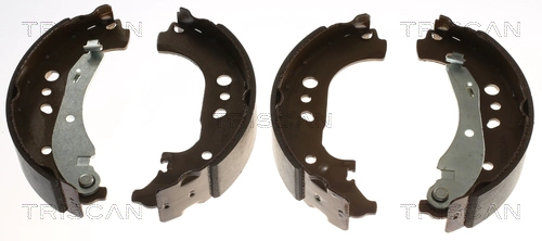Brake Shoe Set (8100 29005)