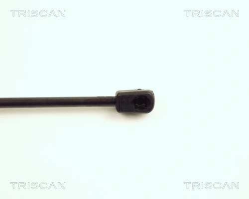 Gas Spring, boot/cargo area