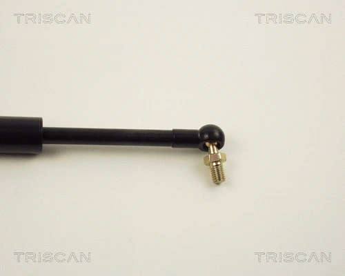 Gas Spring, boot/cargo area
