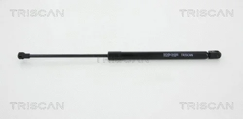 Gas Spring, boot/cargo area (8710 66206)