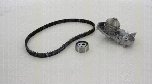 Water Pump & Timing Belt Kit (8647 250001)
