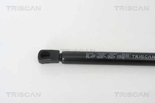 Gas Spring, boot/cargo area