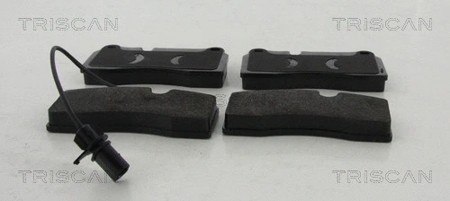 Brake Pad Set, disc brake (8110 29173)