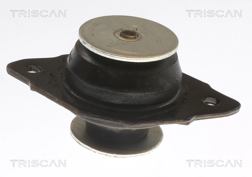 Mounting, engine (8505 29144)