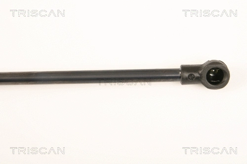 Gas Spring, boot/cargo area