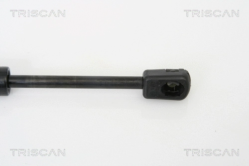 Gas Spring, boot/cargo area