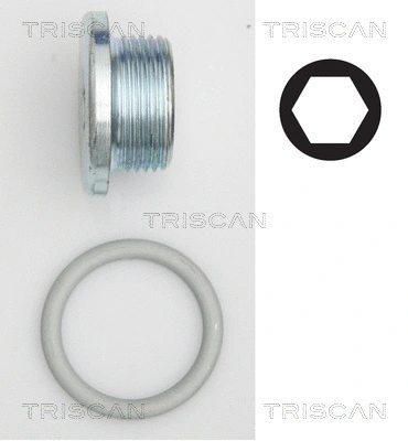 Screw Plug, oil sump (9500 2904)