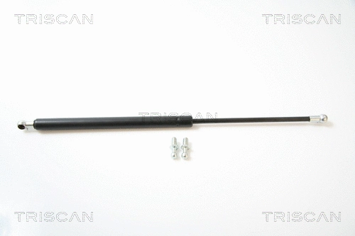 Gas Spring, boot/cargo area (8710 42221)