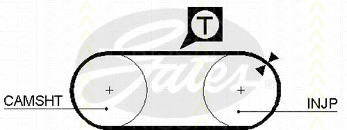 Timing Belt