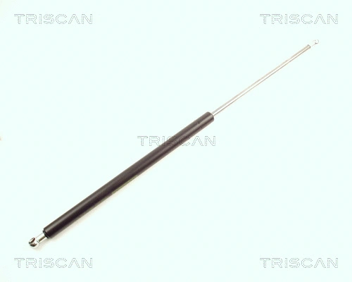Gas Spring, boot/cargo area (8710 16217)
