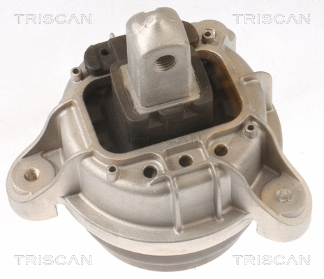 Mounting, engine (8505 11116)