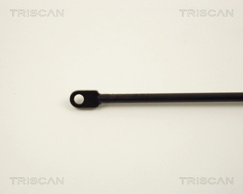 Gas Spring, boot/cargo area
