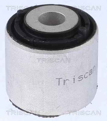 Mounting, control/trailing arm (8500 298074)