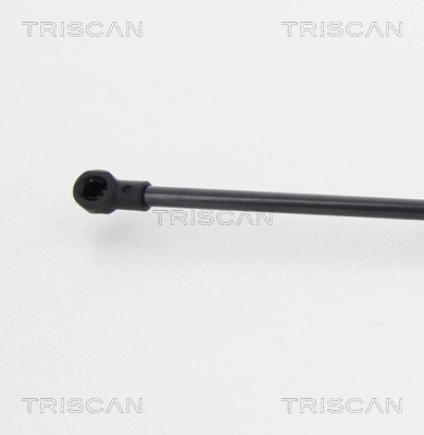 Gas Spring, boot/cargo area