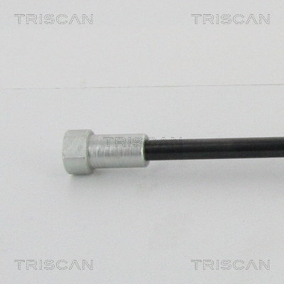 Gas Spring, boot/cargo area