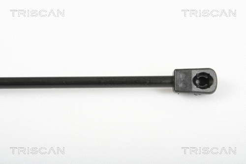 Gas Spring, boot/cargo area