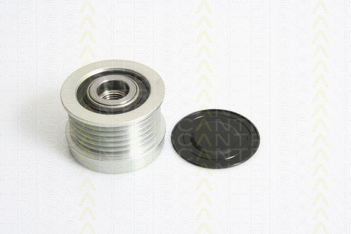 Alternator Freewheel Clutch (8641 104017)