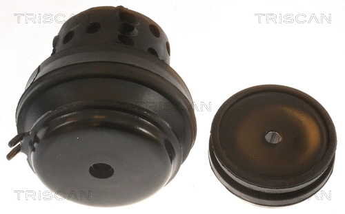 Mounting, engine