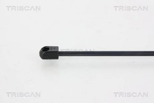 Gas Spring, boot/cargo area
