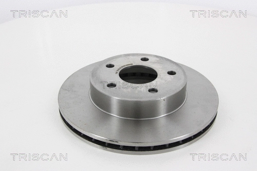 Brake Disc (8120 101009)