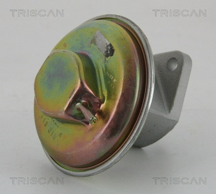 EGR Valve (8813 21007)