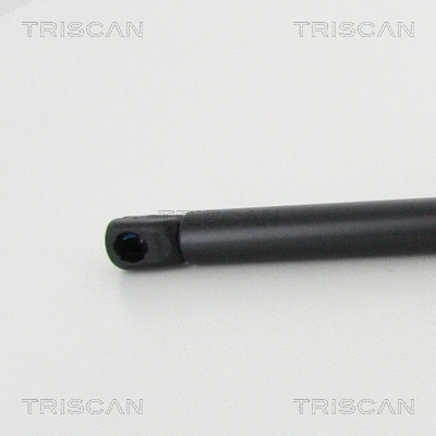 Gas Spring, boot/cargo area