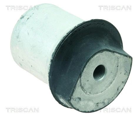 Bushing, axle beam (8500 24843)