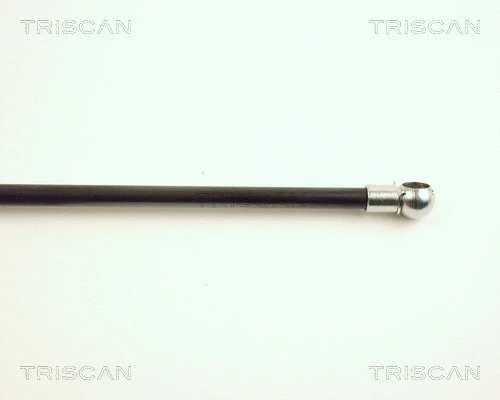 Gas Spring, boot/cargo area
