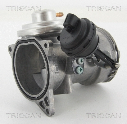 EGR Valve (8813 29070)