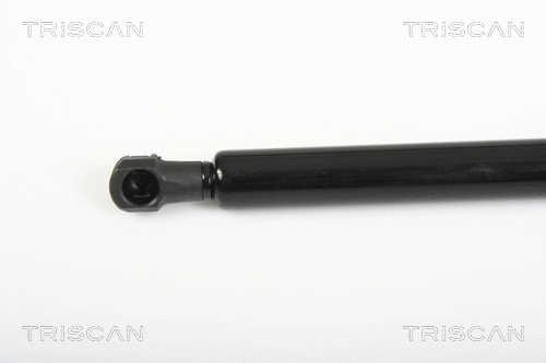 Gas Spring, rear window