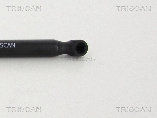 Gas Spring, boot/cargo area