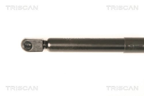Gas Spring, boot/cargo area