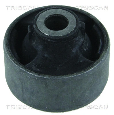 Mounting, control/trailing arm (8500 10839)