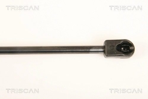 Gas Spring, boot/cargo area