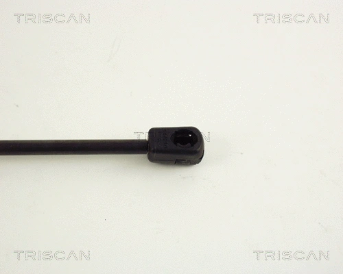 Gas Spring, boot/cargo area