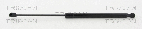 Gas Spring, boot/cargo area