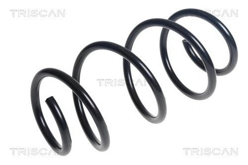Suspension Spring (8750 29519)