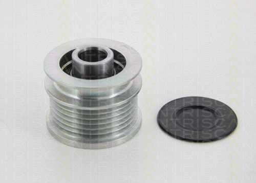 Alternator Freewheel Clutch (8641 244014)