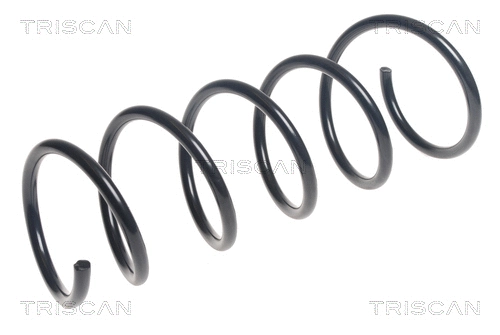 Suspension Spring (8750 25130)