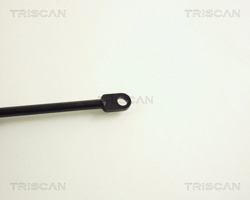 Gas Spring, boot/cargo area