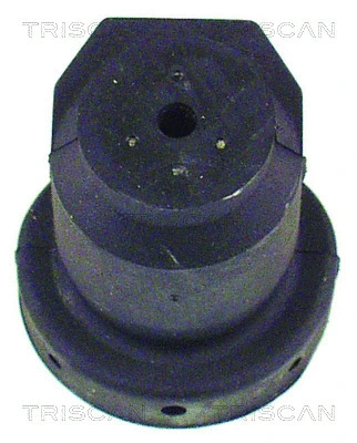 Mounting, control/trailing arm (8500 29816)