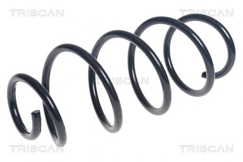Suspension Spring (8750 29470)