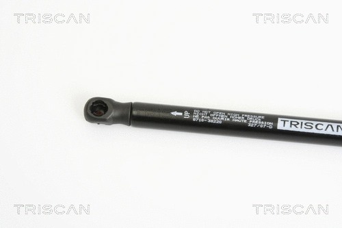 Gas Spring, boot/cargo area