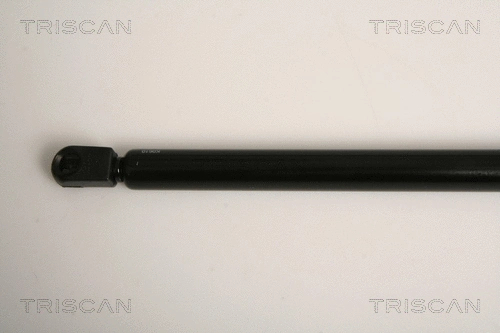 Gas Spring, rear window