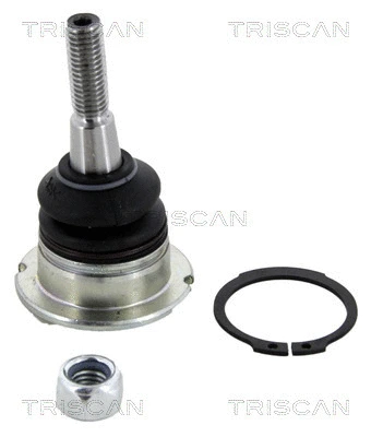 Ball Joint (8500 17510)