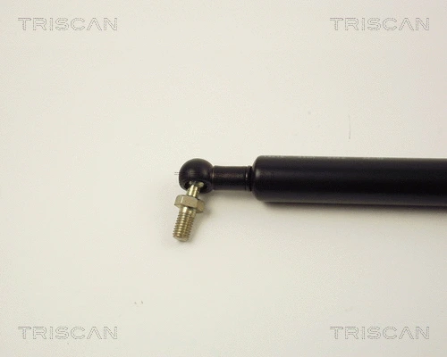 Gas Spring, boot/cargo area