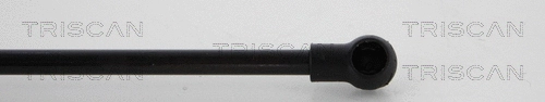 Gas Spring, boot/cargo area (8710 23237)
