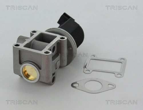 EGR Valve (8813 24082)